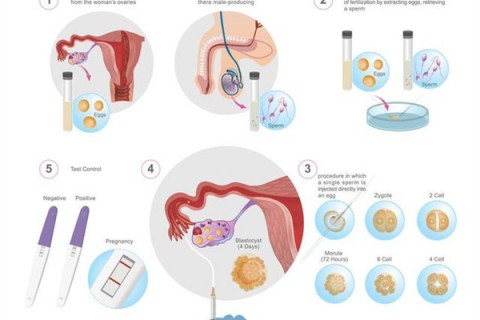 http://xiamen.papirsys.com/post/199.html|厦门捐卵微信